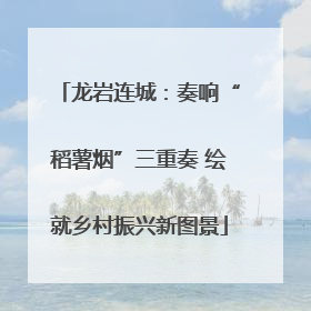 龙岩连城：奏响“稻薯烟”三重奏 绘就乡村振兴新图景