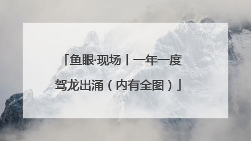 鱼眼·现场丨一年一度 驾龙出涌（内有全图）