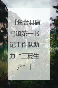 鱼台县唐马镇第一书记工作队助力“三夏生产”