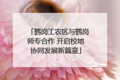 鹤岗工农区与鹤岗师专合作 开启校地协同发展新篇章