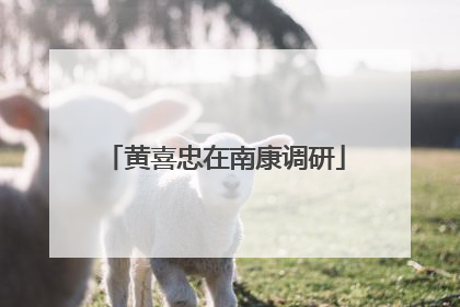 黄喜忠在南康调研