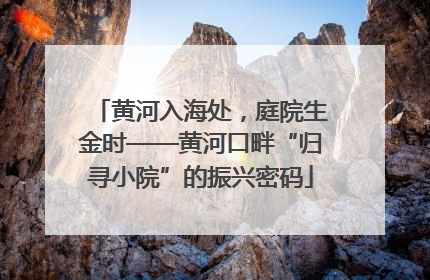 黄河入海处，庭院生金时——黄河口畔“归寻小院”的振兴密码