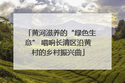 黄河滋养的“绿色生意” 唱响长清区沿黄村的乡村振兴曲