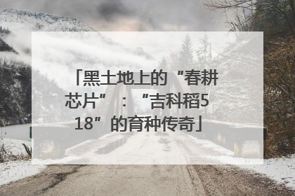 黑土地上的“春耕芯片”：“吉科稻518”的育种传奇
