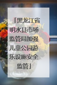 黑龙江省明水县市场监管局加强儿童公园游乐设施安全监管