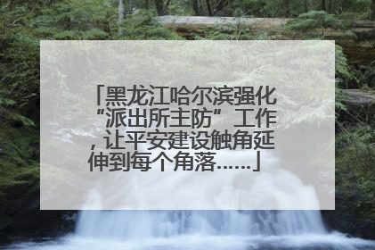 黑龙江哈尔滨强化“派出所主防”工作，让平安建设触角延伸到每个角落……