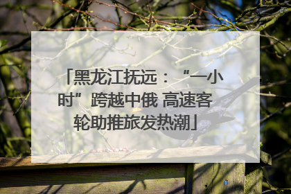 黑龙江抚远：“一小时”跨越中俄 高速客轮助推旅发热潮