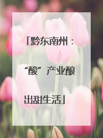 黔东南州：“酸”产业酿出甜生活
