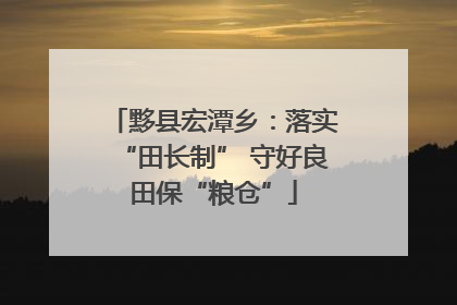 黟县宏潭乡：落实“田长制” 守好良田保“粮仓”