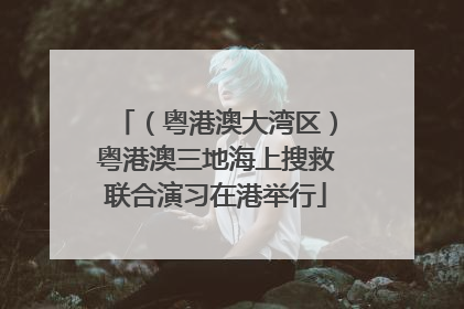 （粤港澳大湾区）粤港澳三地海上搜救联合演习在港举行