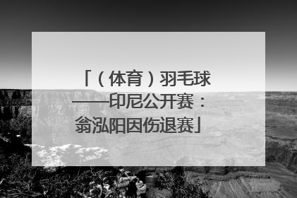 （体育）羽毛球——印尼公开赛：翁泓阳因伤退赛