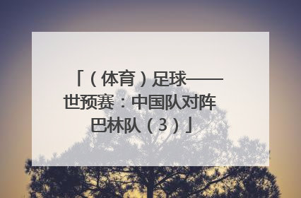 （体育）足球——世预赛：中国队对阵巴林队（3）