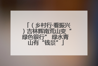 （乡村行·看振兴）吉林辉南荒山变“绿色银行” 绿水青山有“钱景”