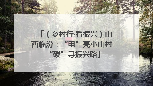 （乡村行·看振兴）山西临汾：“电”亮小山村 “碳”寻振兴路