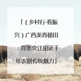 （乡村行·看振兴）广西龙脊梯田：背篓变迁见证千年农耕传统魅力