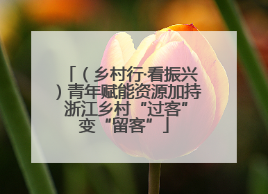 （乡村行·看振兴）青年赋能资源加持 浙江乡村“过客”变“留客”