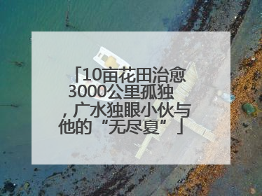 10亩花田治愈3000公里孤独，广水独眼小伙与他的“无尽夏”