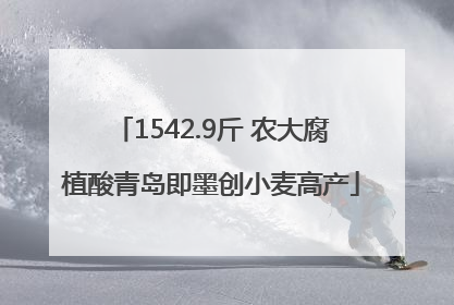 1542.9斤 农大腐植酸青岛即墨创小麦高产