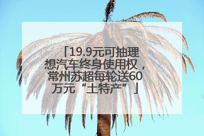 19.9元可抽理想汽车终身使用权，常州苏超每轮送60万元“土特产”