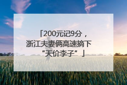 200元记9分，浙江夫妻俩高速摘下“天价李子”