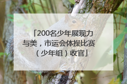 200名少年展现力与美，市运会体操比赛（少年组）收官