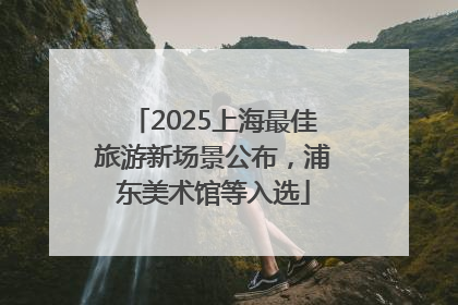 2025上海最佳旅游新场景公布，浦东美术馆等入选