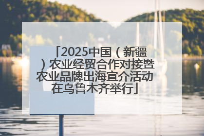 2025中国（新疆）农业经贸合作对接暨农业品牌出海宣介活动在乌鲁木齐举行