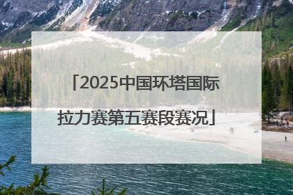2025中国环塔国际拉力赛第五赛段赛况