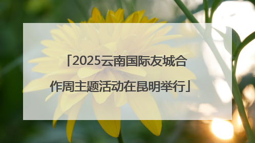 2025云南国际友城合作周主题活动在昆明举行