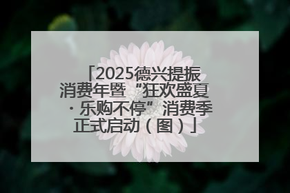 2025德兴提振消费年暨“狂欢盛夏・乐购不停”消费季正式启动（图）