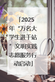 2025年“万名大学生进千站”文明实践志愿服务行动启动
