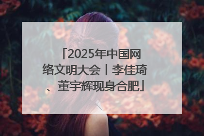 2025年中国网络文明大会丨李佳琦、董宇辉现身合肥