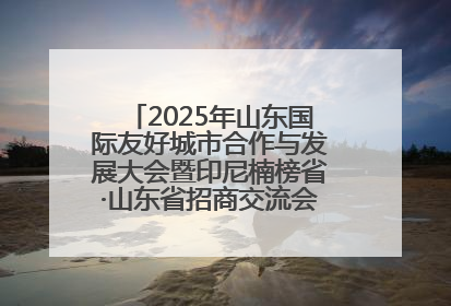 2025年山东国际友好城市合作与发展大会暨印尼楠榜省·山东省招商交流会在济南槐荫举行