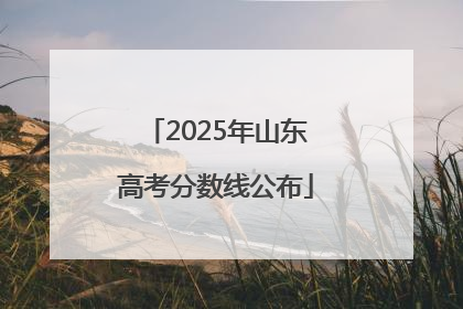 2025年山东高考分数线公布