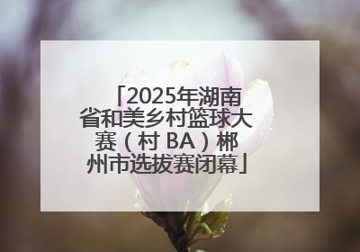 2025年湖南省和美乡村篮球大赛（村 BA）郴州市选拔赛闭幕