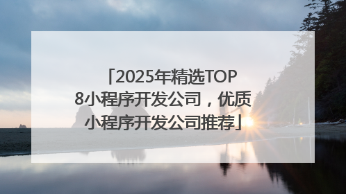 2025年精选TOP8小程序开发公司，优质小程序开发公司推荐