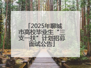 2025年聊城市高校毕业生“三支一扶”计划招募面试公告