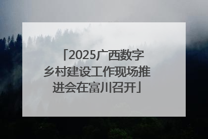 2025广西数字乡村建设工作现场推进会在富川召开