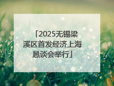2025无锡梁溪区首发经济上海恳谈会举行