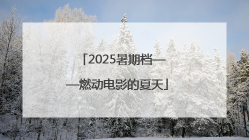 2025暑期档——燃动电影的夏天