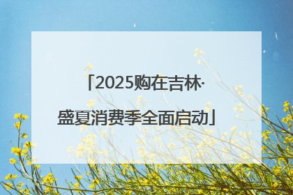 2025购在吉林·盛夏消费季全面启动