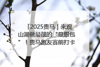 2025贵马｜来观山湖做最靓的“显眼包”！贵马跑友赛前打卡点燃奔跑热情