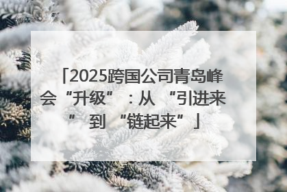 2025跨国公司青岛峰会“升级”：从 “引进来” 到 “链起来”