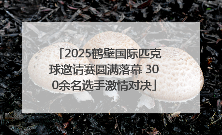 2025鹤壁国际匹克球邀请赛圆满落幕 300余名选手激情对决
