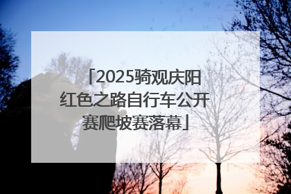 2025骑观庆阳红色之路自行车公开赛爬坡赛落幕