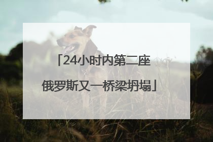 24小时内第二座 俄罗斯又一桥梁坍塌