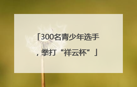 300名青少年选手，拳打“祥云杯”