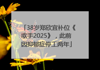 38岁郑欣宜补位《歌手2025》，此前因抑郁症停工两年