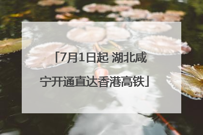 7月1日起 湖北咸宁开通直达香港高铁
