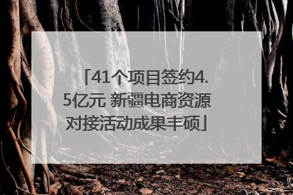 41个项目签约4.5亿元 新疆电商资源对接活动成果丰硕